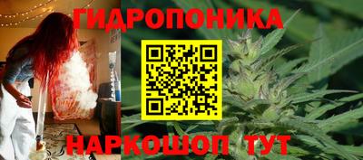 ПСИЛОЦИБИНОВЫЕ ГРИБЫ Тавда