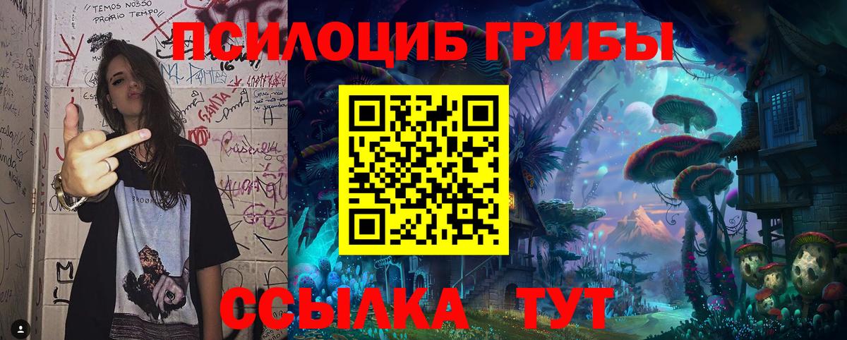 Псилоцибиновые грибы GOLDEN TEACHER Воскресенск
